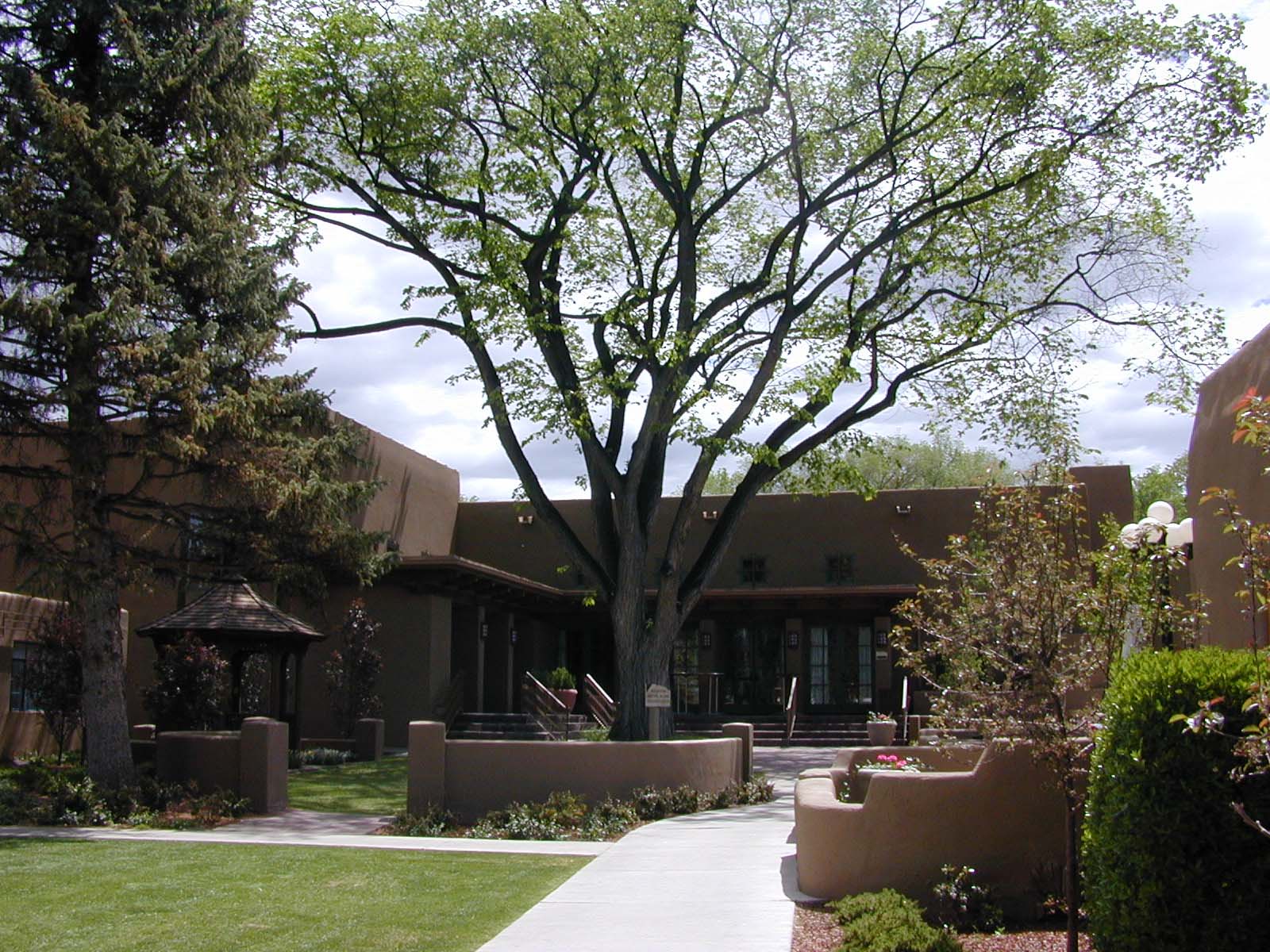 big-tree-at-ballroom